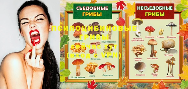 MDMA Белоозёрский
